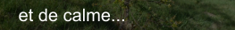 et de calme...